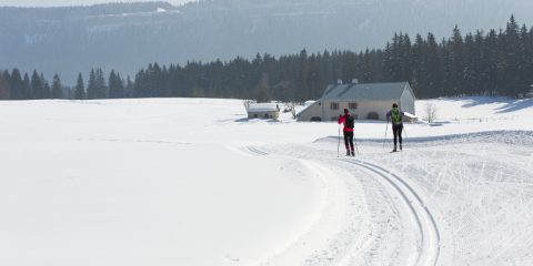 11/03/2016 - CHAPELLE DES BOIS - DOUBS - FRANCE -  Ski de fond a Chapelle des Bois            - Photo Laurent CHEVIET©