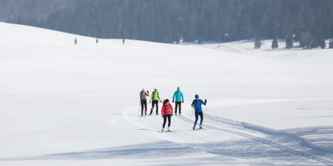 11/03/2016 - CHAPELLE DES BOIS - DOUBS - FRANCE -  Ski de fond a Chapelle des Bois            - Photo Laurent CHEVIET©