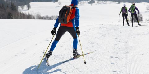 11/03/2016 - CHAPELLE DES BOIS - DOUBS - FRANCE -  Ski de fond a Chapelle des Bois            - Photo Laurent CHEVIET©